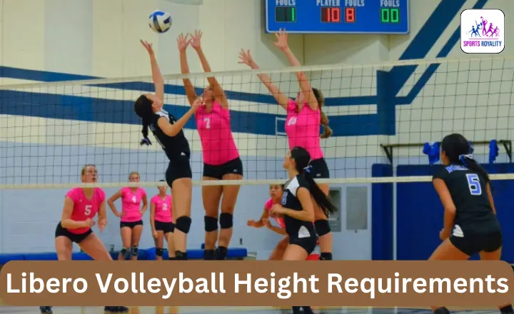 Libero Volleyball Height