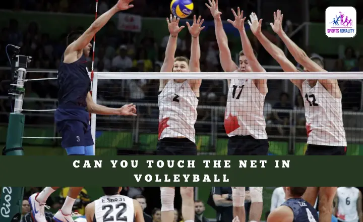 Can You Touch The Net In Volleyball