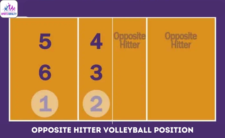 Opposite Hitter Volleyball Position