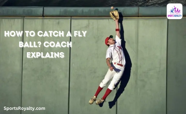 How to Catch a Fly Ball