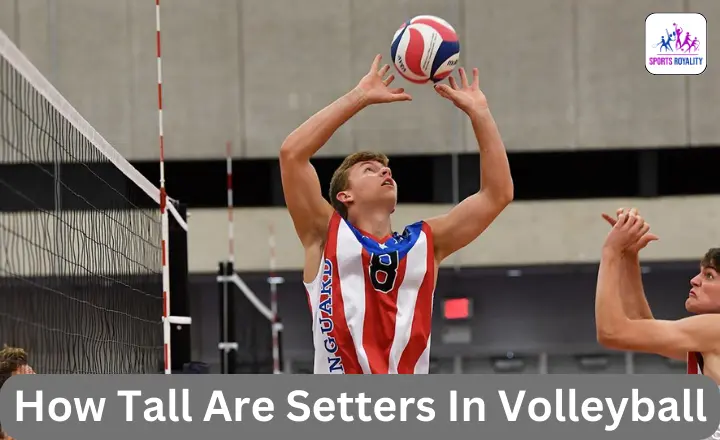 how tall are setters in volleyball