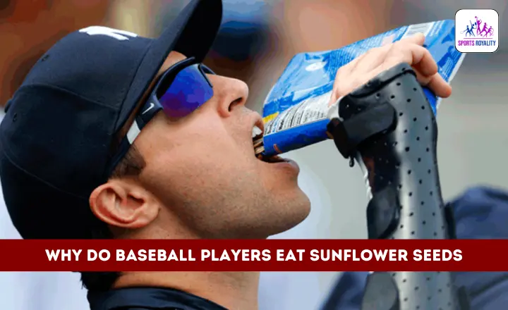 Why Do Baseball Players Eat Sunflower Seeds