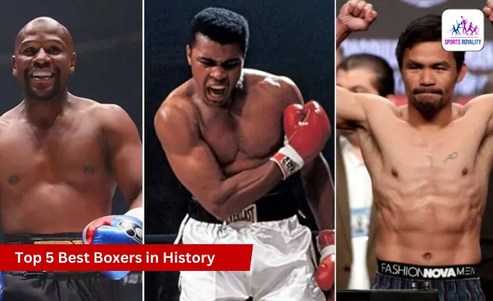 Top 5 Best Boxers in History