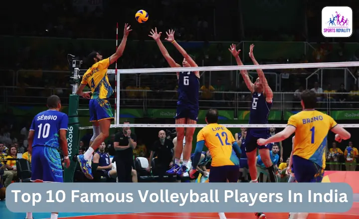 Top 10 Famous Volleyball Players In India